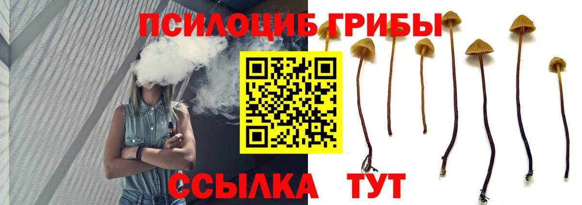 Великие Луки  Псилоцибиновые грибы Psilocybine cubensis  Вход с VPN  Галлюциногенные грибы Psilocybine cubensis 